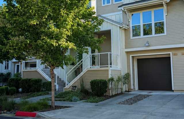 Modern 3-Story Living in Santa Rosa - Available Now! photos photos