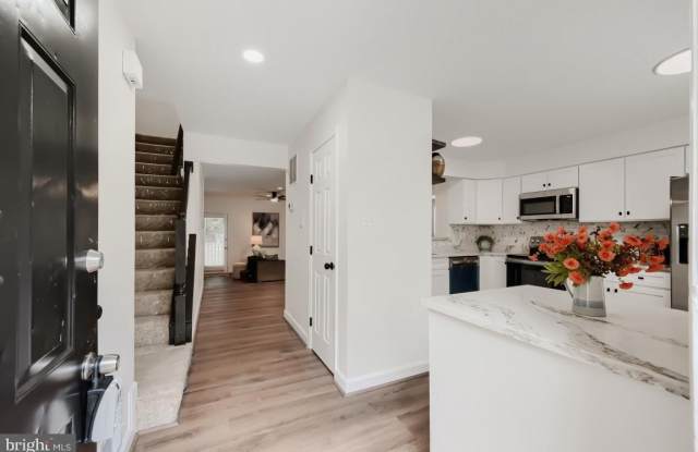 8573 BLACK STAR Circle Gallery 3