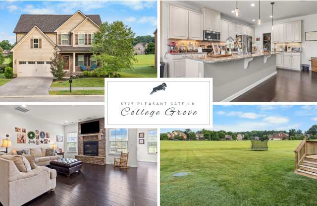6725 Pleasant Gate Lane, College Grove, TN 37046 Gallery 1