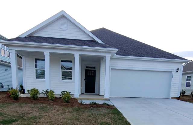 Brand new construction home in the desirable Brunswick Forest subdivision photos photos