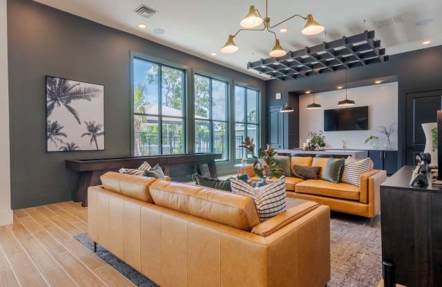 Altera Jacaranda photos photos