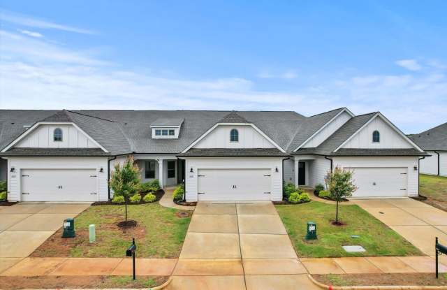 Discover this beautiful new townhome in the desirable Town Mill Subdivision photos photos