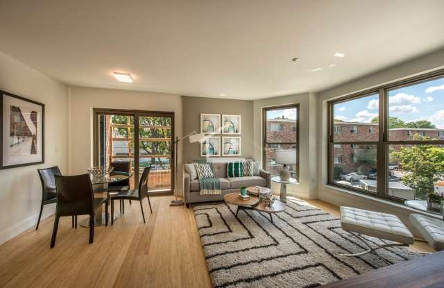 Amazing apartment in Allston Gallery 4