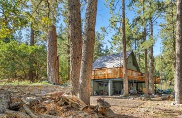 223 Rainbow Canyon Boulevard - 223 Rainbow Canyon Boulevard, Mount Charleston, NV 89124