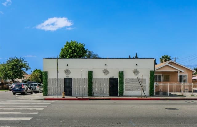 8131 S San Pedro - 8131 South San Pedro Street, Los Angeles, CA 90003