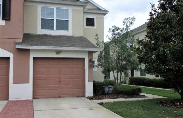 26527 Castleview Way - 26527 Castleview Way, Wesley Chapel, FL 33544