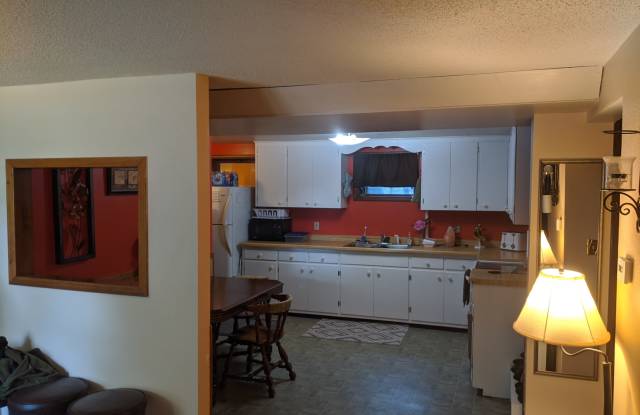 217 5th Avenue South - 217 5th Avenue South, Sauk Rapids, MN 56379