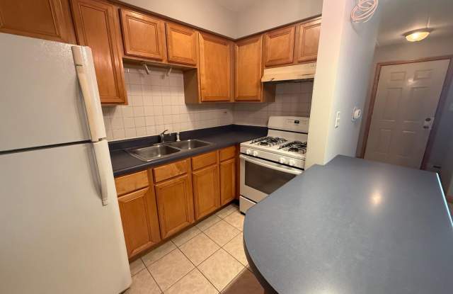 Well Maintained 1 Bedroom/1 Bath Unit Great Location Close to Ohare Gallery 3