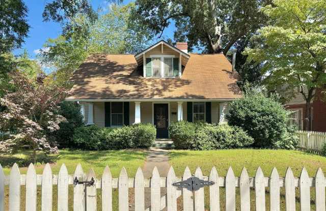 Downtown Statesville - 4 BR / 2 BA photos photos
