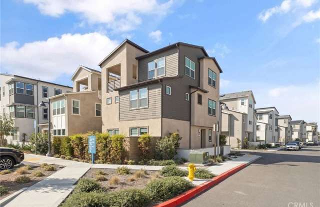 236 Yerba photos photos