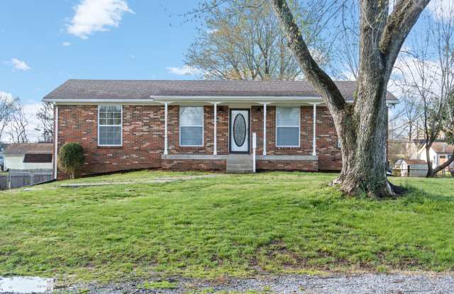 Pet Friendly Renovated Three Bedroom with Basement! photos photos