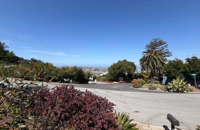 Come Home to the View — 800 Buckland Ave Gallery 4