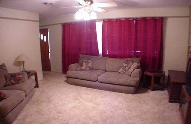 1919 TOWN OAK DR Gallery 4