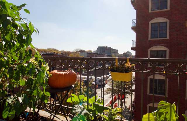 428 Hicks Street - 428 Hicks Street, Brooklyn, NY 11201