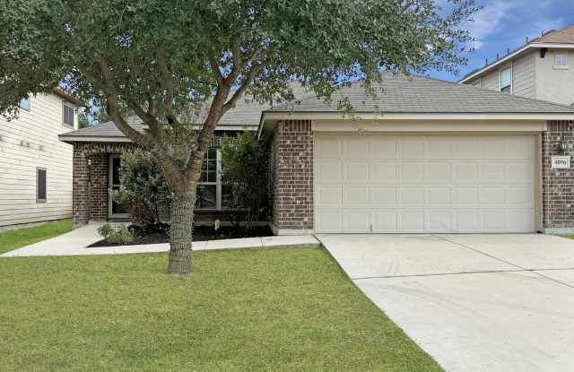 4096 Cherry Tree Gallery 3