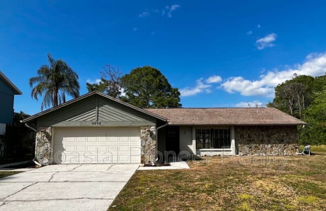 3233 Oakwood Pl - 3233 Oakwood Place, East Lake, FL 34688