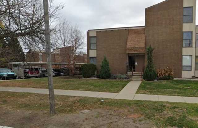 29 Dickinson Street - 29 Dickinson Street, Mount Clemens, MI 48043