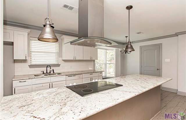 4 Bedroom House in Denham with 2 bonus rooms - 1428 Lansdowne Drive, Denham Springs, LA 70726