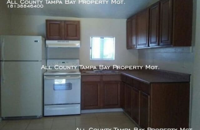 415 Renlyn Ct - 415 Renlyn Court, Brandon, FL 33510