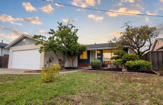 Centrally Located San Leandro Stunner w/ Modern Upgrades photos photos