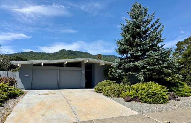 BEAUTIFULLY MAINTAINED EICHLER-STYLE HOME IN DESIRABLE LUCAS VALLEY WITH HOA POOL AND TENNIS COURTS photos photos
