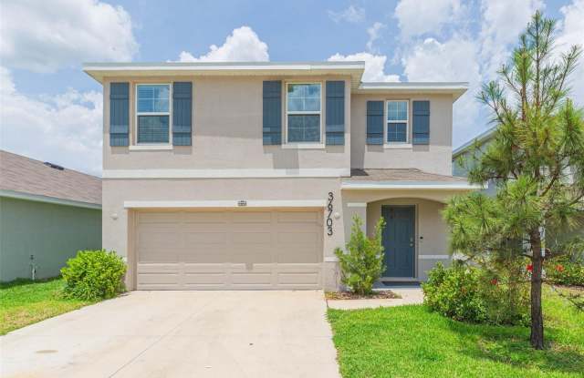 36703 SPANISH ROSE DRIVE photos photos 36703 SPANISH ROSE DRIVE photos photos