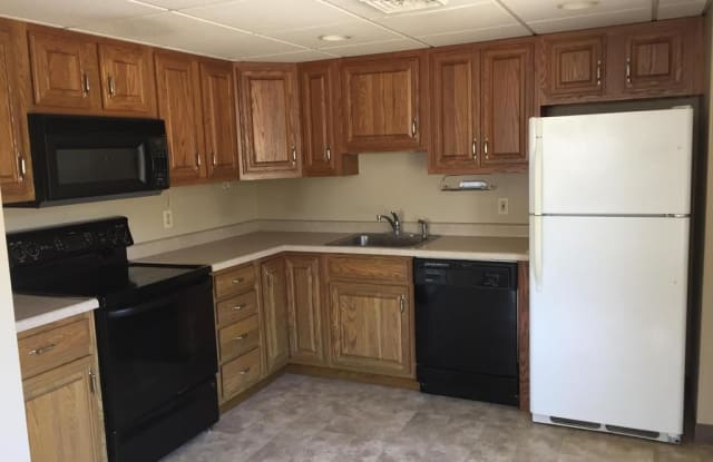 3829 Willow Ave Unit 207 - 3829 Willow Avenue, Castle Shannon, PA 15234