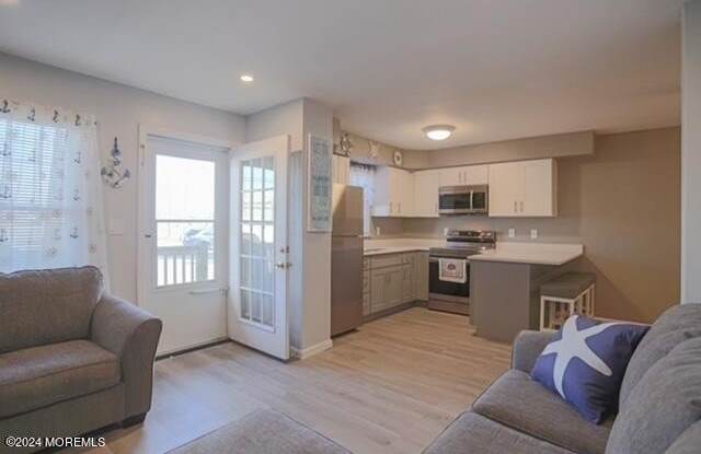 113 Lincoln Avenue photos photos