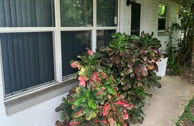 718 Jane Avenue - 718 Jane Avenue, New Smyrna Beach, FL 32168