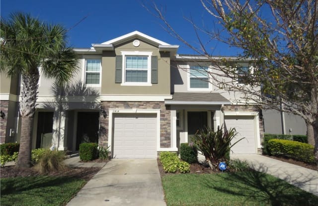 10408 YELLOW SPICE COURT - 10408 Yellow Spice Court, Riverview, FL 33578