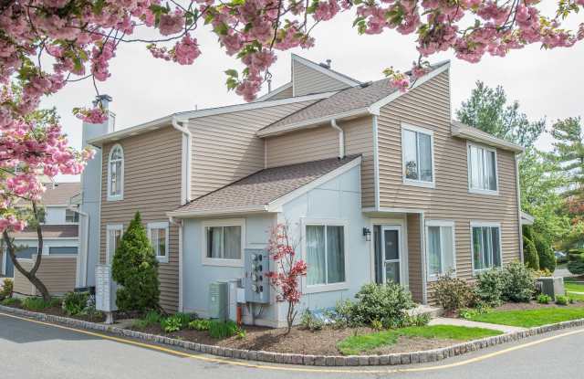 3316 Park Place Gallery 4