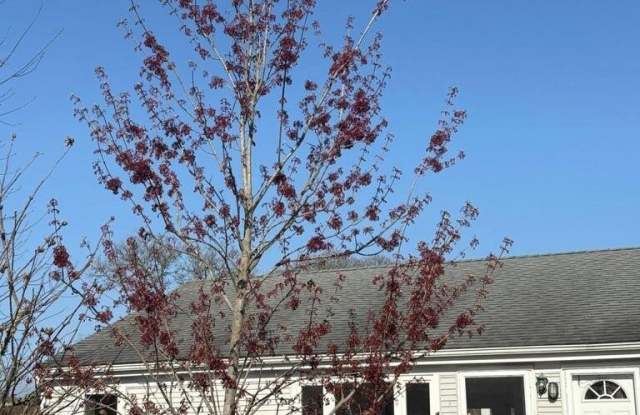 4 Summer Street photos photos 4 Summer Street photos photos