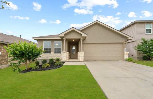 148 Sage Sparrow photos photos