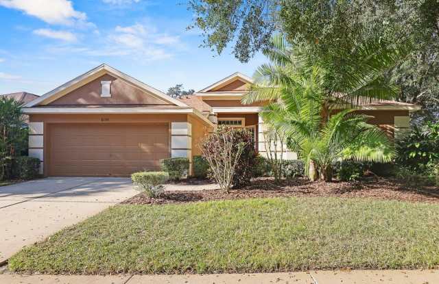 6130 WHIMBRELWOOD DRIVE - 6130 Whimbrelwood Drive, Fish Hawk, FL 33547