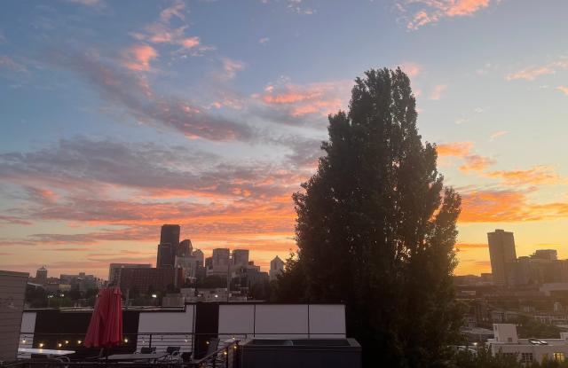 Capitol Hill/Cherry Hill Townhouse - 709 15th Avenue, Seattle, WA 98122