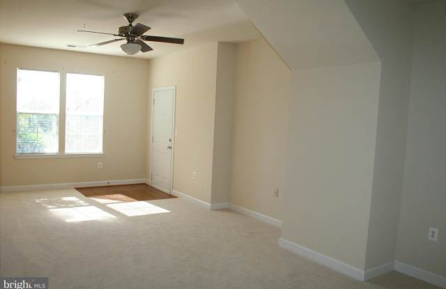 42381 GOLDENSEAL SQUARE Gallery 3