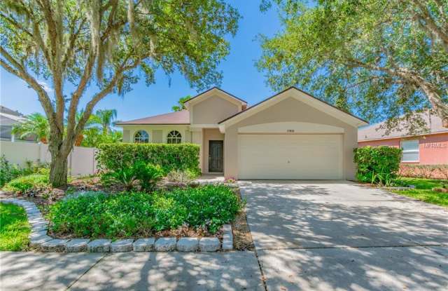 27834 SKY LAKE CIRCLE - 27834 Sky Lake Circle, Wesley Chapel, FL 33544