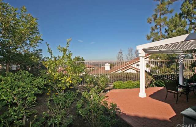 27529 Paseo Verano Gallery 3