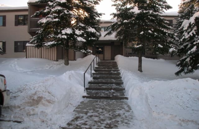 10 Village Dr Apt 202 - 10 Village Drive, Proctor, MN 55810