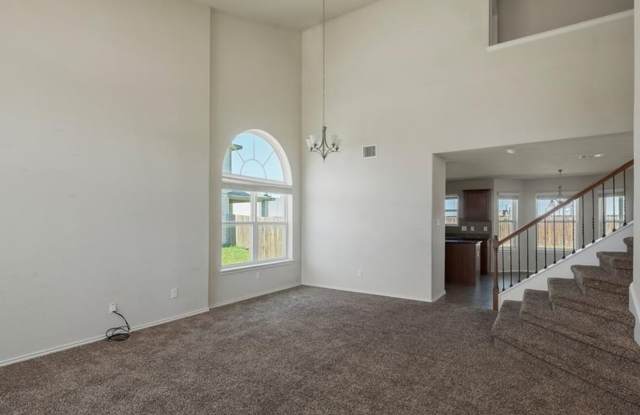2903 Black Orchid Dr Gallery 4