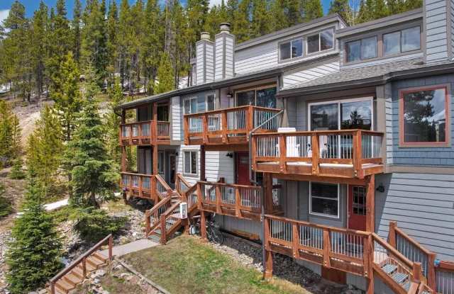 Winter Seasonal Lease! Sun filled, furnished and ready for you! - 132 Illinois Gulch Road, Summit County, CO 80424