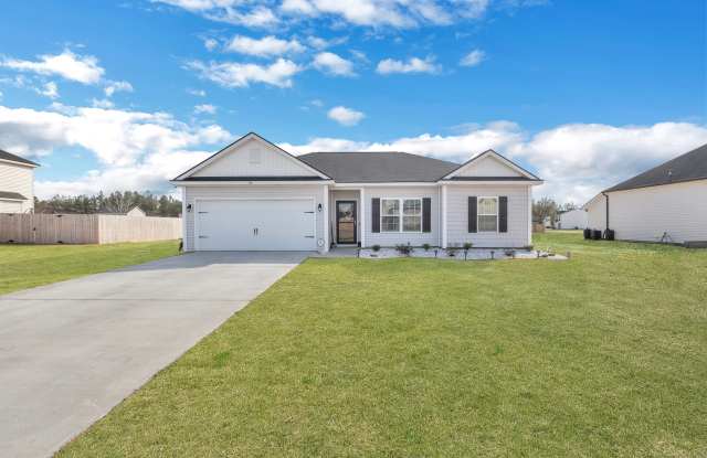 181 Sunflower Cir NE - 181 Sunflower Cir NE, Long County, GA 31316