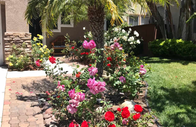 7248 Canyon Glen Ct Gallery 2