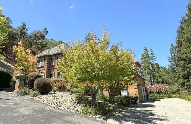 Westside Alamo Custom Estate With Beautiful Wooded Views ! photos photos