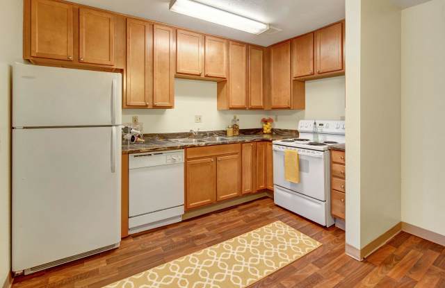 Conifer Grove photos photos