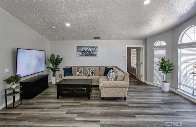 17859 Yucca photos photos