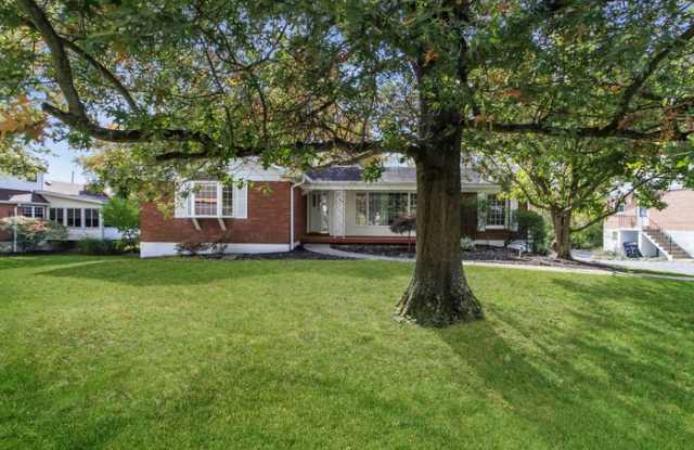1007 Pineknot Drive photos photos