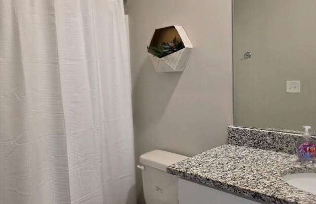 2 Bed 2 Bath Gallery 4