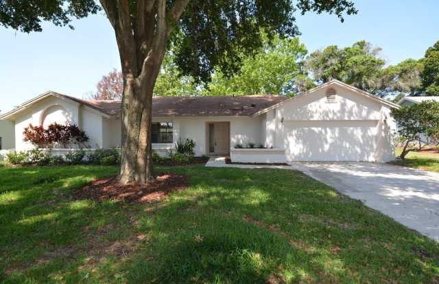 5106 SUN PALM DRIVE photos photos