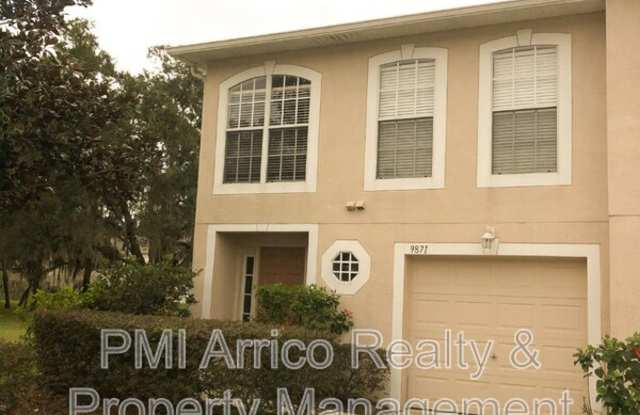 9871 Ashburn Lake Dr - 9871 Ashburn Lake Drive, East Lake-Orient Park, FL 33610